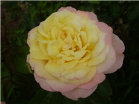 e5ff2db5-Picture 4752.jpg